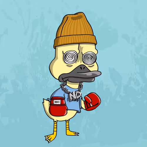 Duck #1373