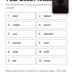 Your Seed Phrase #164