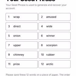Your Seed Phrase #207