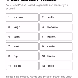Your Seed Phrase #229