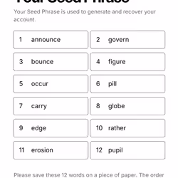 Your Seed Phrase #471