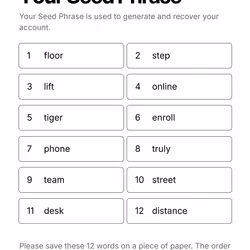 Your Seed Phrase #235