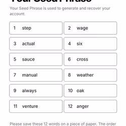 Your Seed Phrase #228