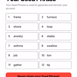 Your Seed Phrase #481