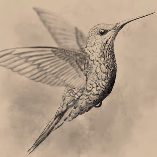 The Mummingbird
