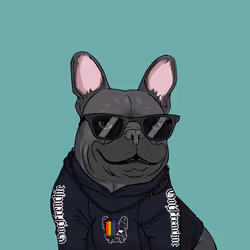 6577
