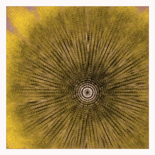Singularity By Cory Haber