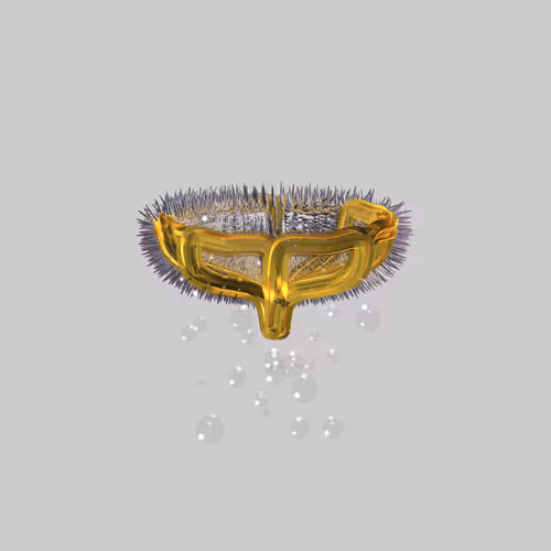 Lycorises #61