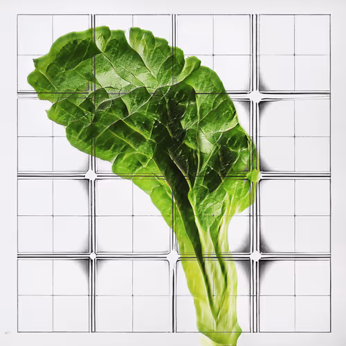 Ai Horticulture Vignettes From The Greenhouse Of T