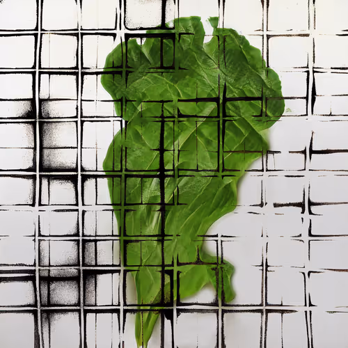 Ai Horticulture Vignettes From The Greenhouse Of T