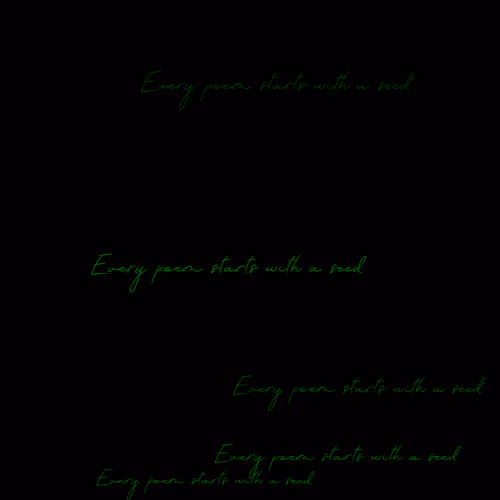 Every Poem Starts With A Seed By Sasha Stiles