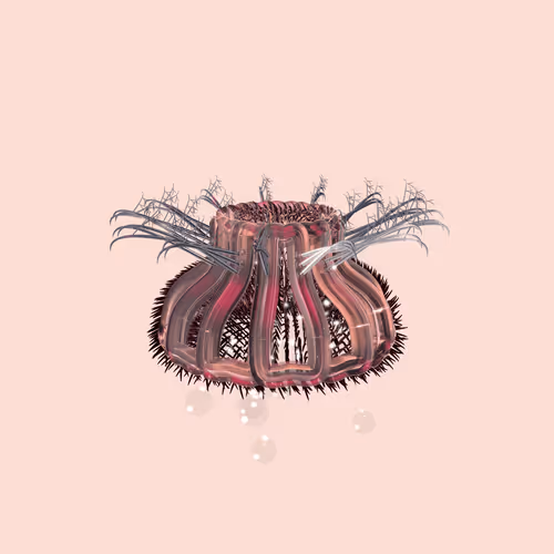 Lycorises #18