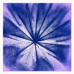 Singularity #131