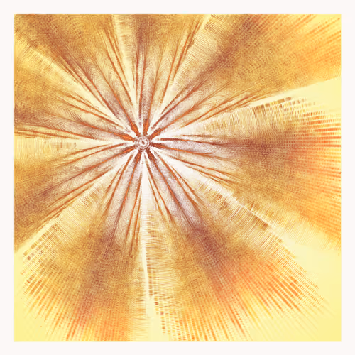 Singularity By Cory Haber