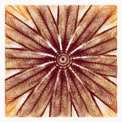 Singularity #127