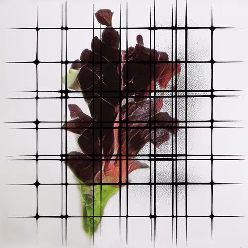 Ai Horticulture Vignettes From The Greenhouse Of T