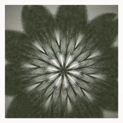 Singularity #103
