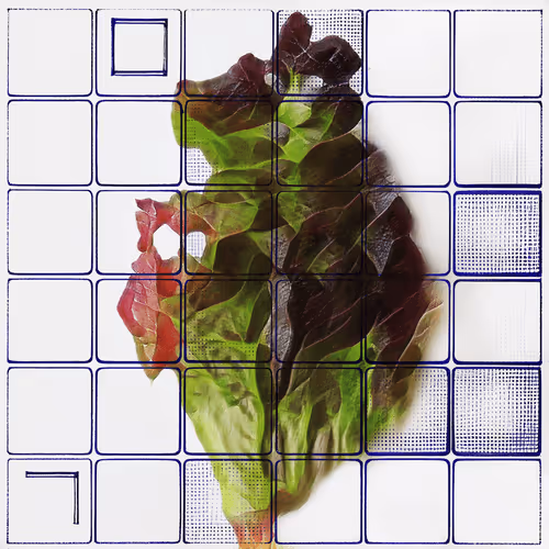 Ai Horticulture Vignettes From The Greenhouse Of T