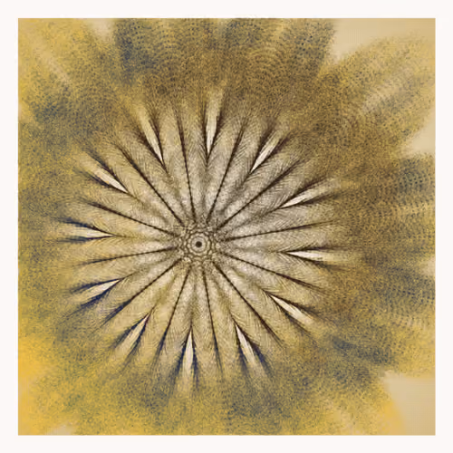 Singularity #32