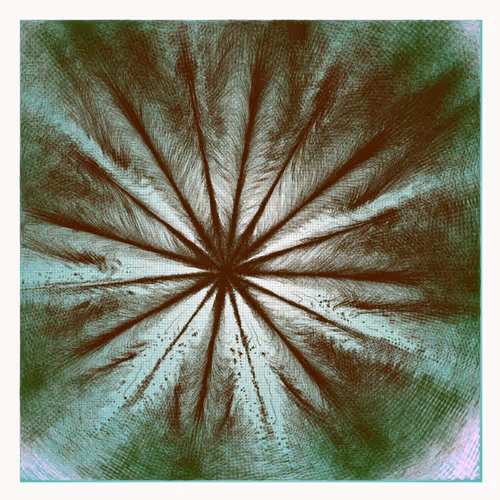 Singularity By Cory Haber