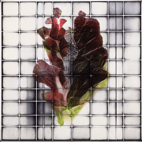 Ai Horticulture Vignettes From The Greenhouse Of T