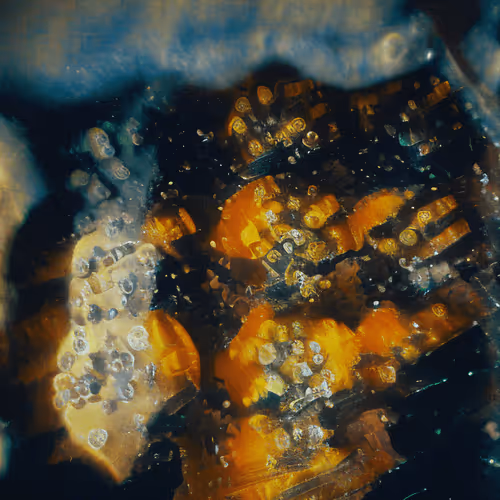 Molecular Atlas #52