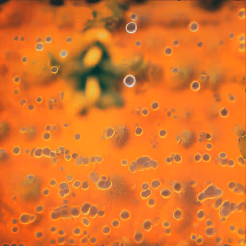 A Molecular Atlas Of The Machine States By Ivona T