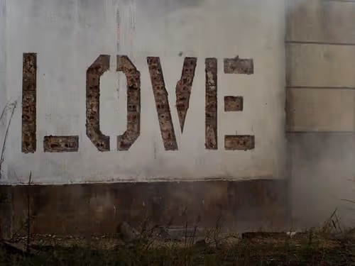 Item #13100010086 Media