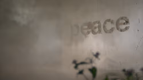 Item #13100020086 Media