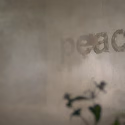 PEACE #47/193