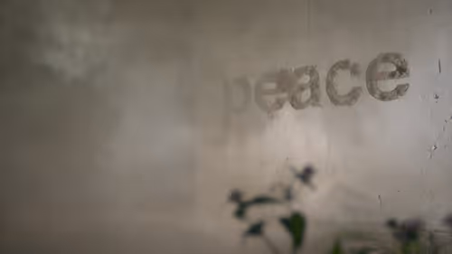 Item #13100020074 Media