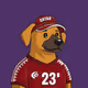 Pup #1553