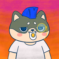 Super Shiba #5800