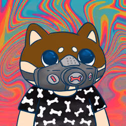 Super Shiba #8897