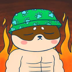 Super Shiba #8130