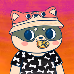 Super Shiba #5180
