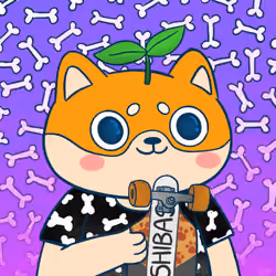 Super Shiba #7931