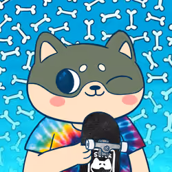 Super Shiba #7664