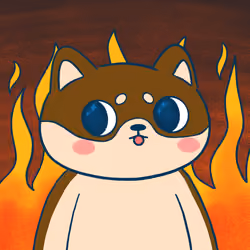 Super Shiba #5907