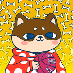 Super Shiba #5242