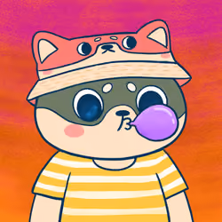 Super Shiba #9651