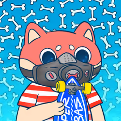 Super Shiba #1808