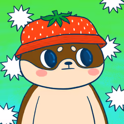 Super Shiba #5255