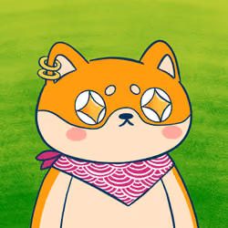 Super Shiba #5710
