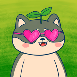Super Shiba #2319
