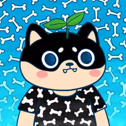 Super Shiba #650