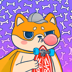 Super Shiba #1331