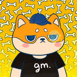 Super Shiba #3586