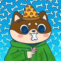 Super Shiba #2773