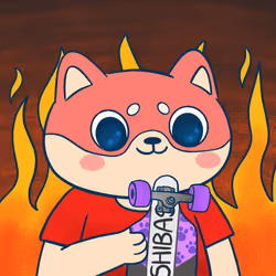 Super Shiba #5219